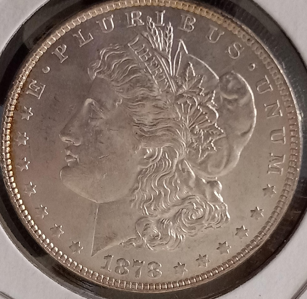 1878-8TF-Morgan-Dollar-VAM-Help