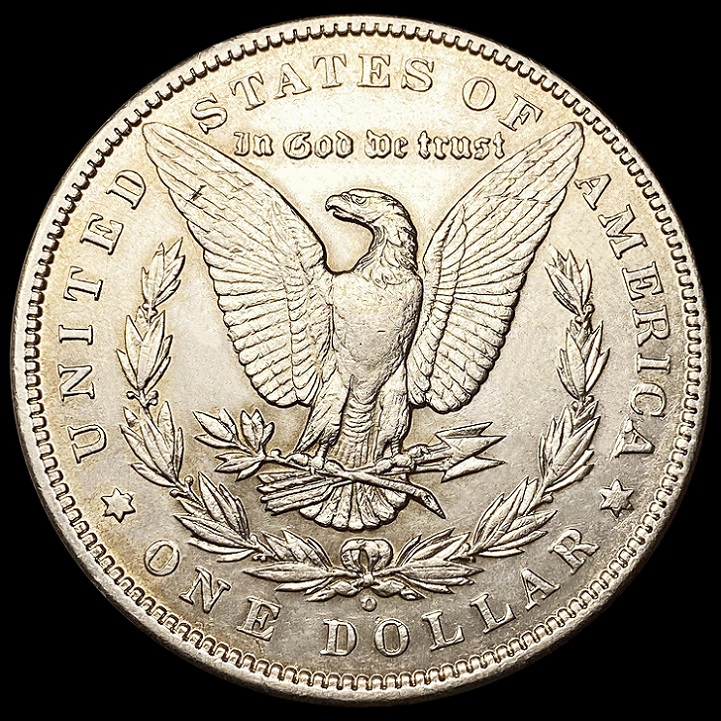28-Days-Of-The-Morgan-Dollars-Part-5