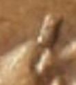 1964-D-Lincoln-Cent.-Is-This-An-Error?