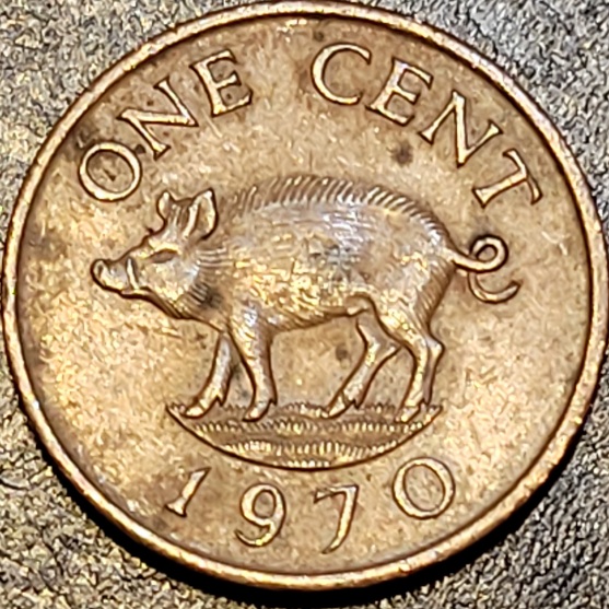 1970-Bermuda-One-Cent--Boar