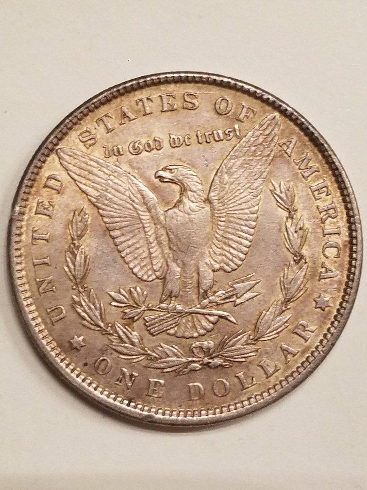 Options-For-These-Morgans-And-Peace-Dollars
