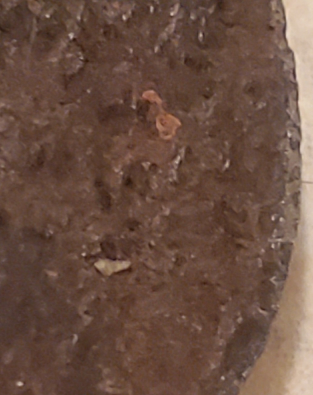 Same-Rusty-Steel-Penny,-New-Topic-With-Pics