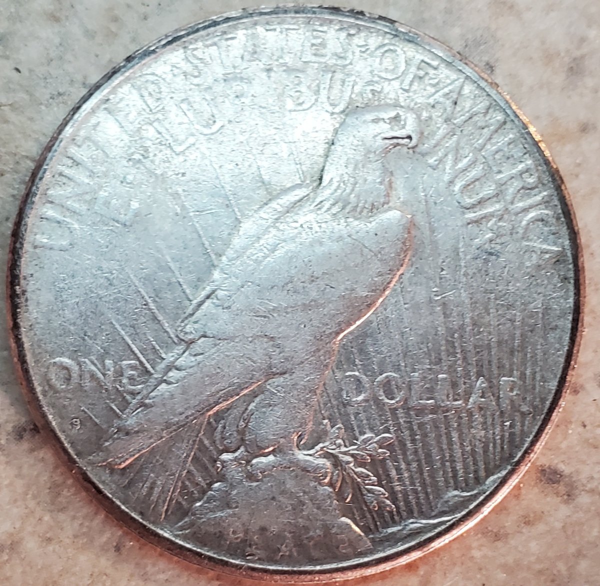 How-Bout-A-Grade-Of-This-Old-Girl,-1925-S-Peace-Dollar