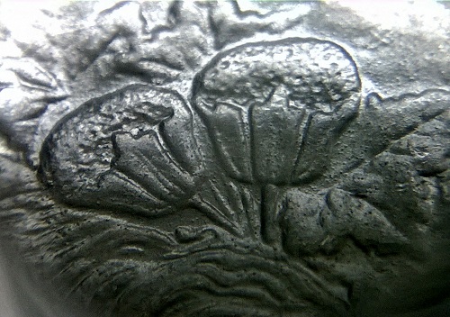 1881-S-Pitted-Bust.