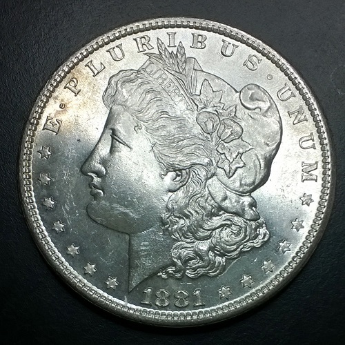 1881-S-Pitted-Bust.
