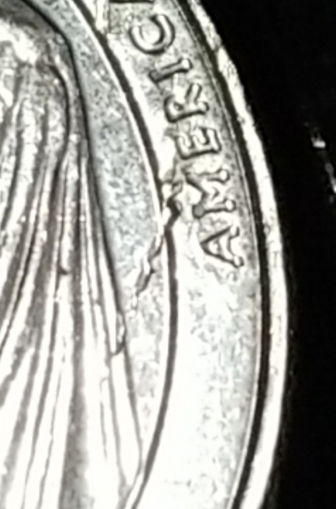 2020-Bat-Quarter-With-2-Marks