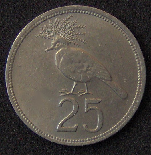 What's-The-Coin-A-Guessing-Game