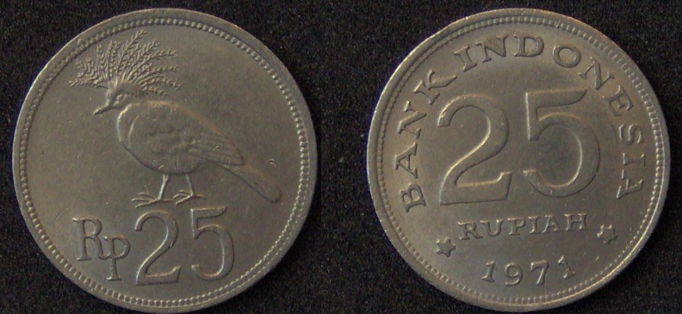 What's-The-Coin-A-Guessing-Game