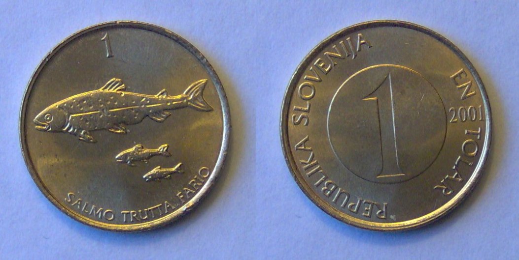 What's-The-Coin-A-Guessing-Game