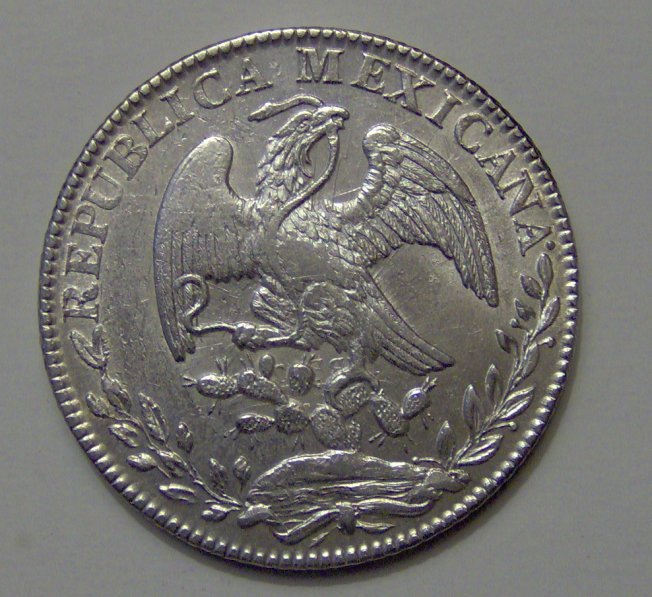 Continuing-List-To-Show-Everyones-Latest-Acquisitions