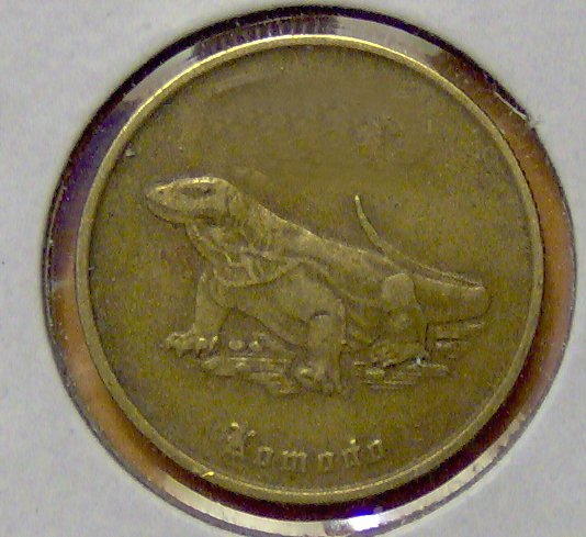 What's-The-Coin-A-Guessing-Game