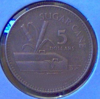 What's-The-Coin-A-Guessing-Game