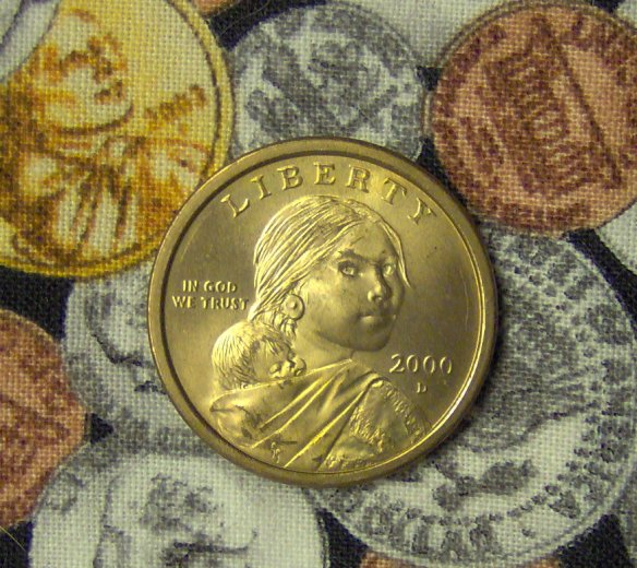 Sacagawea-Picture---What-Am-I-Doing-Wrong???
