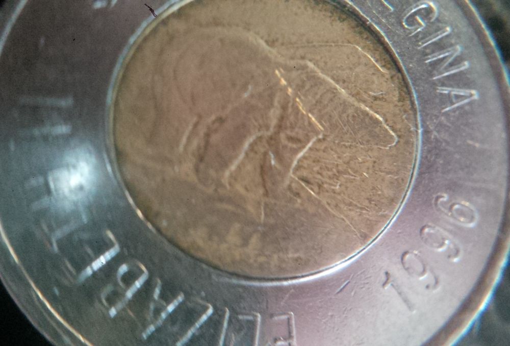 Help-On-Canada-2-Dollar-Coin