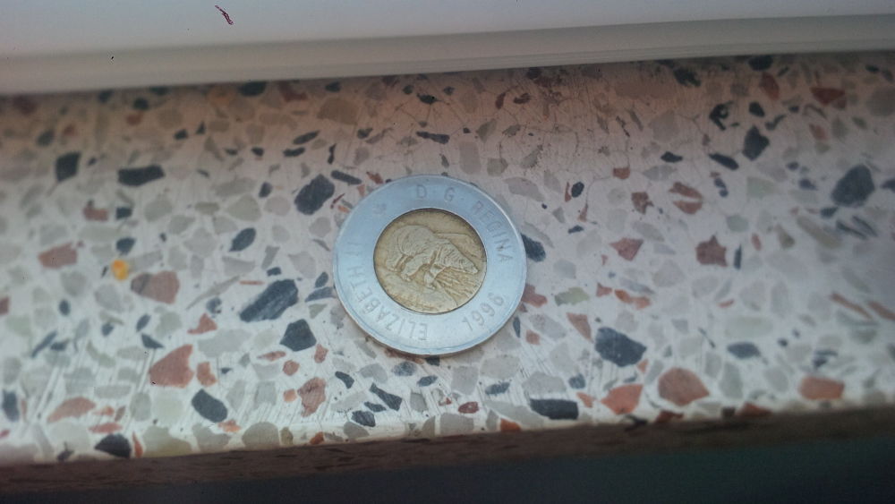 Help-On-Canada-2-Dollar-Coin