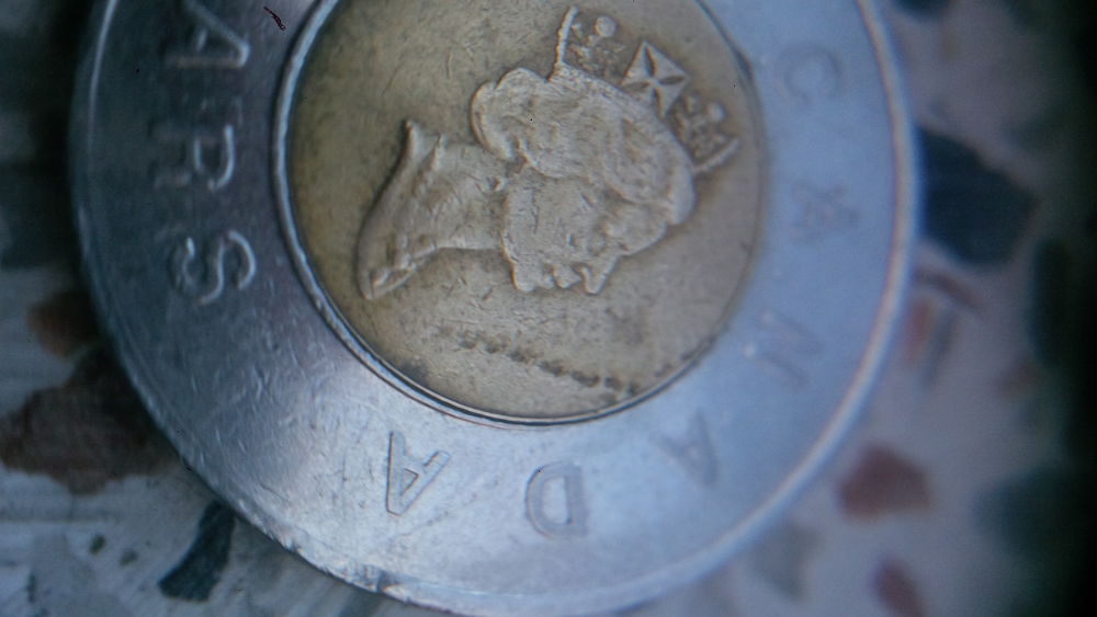 Help-On-Canada-2-Dollar-Coin