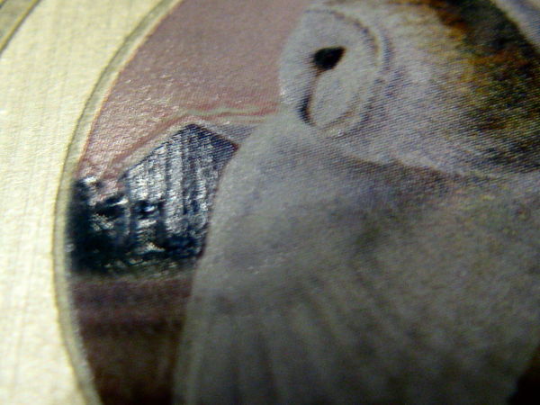 Doubling-On-A-New-2013-Barn-Owl-Coin