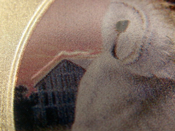 Doubling-On-A-New-2013-Barn-Owl-Coin