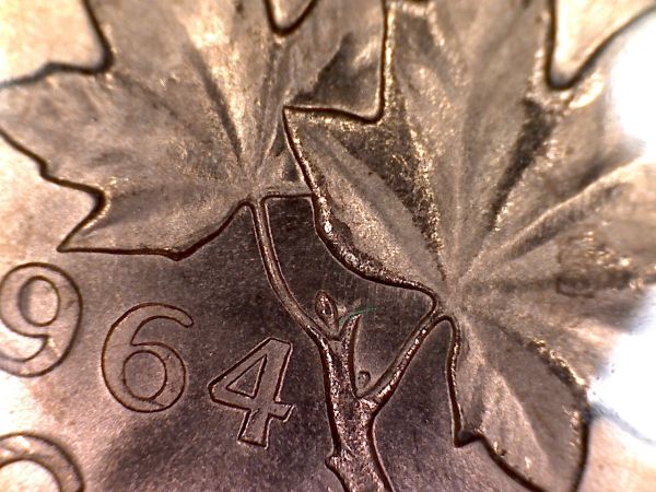 1964-Extra-Bud-And-Stem