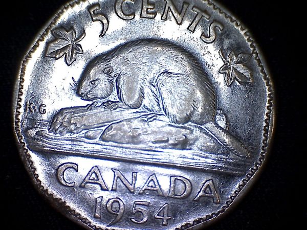 1954-Nickel-Far-And-Close-Right-Leaf