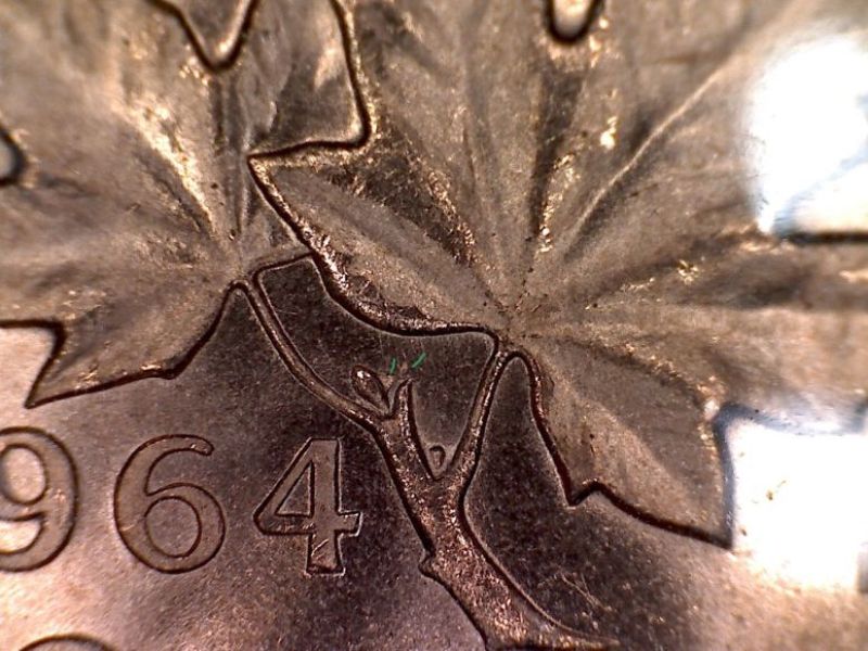 1964-Bud-And-Stem-Extra