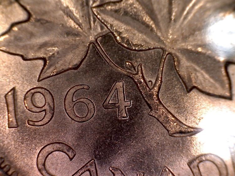 1964-Bud-And-Stem-Extra