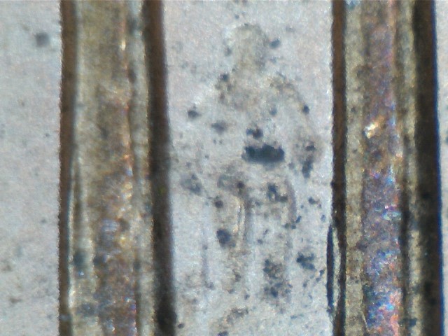 Is-This-A-2000-1�-WDDR-010?
