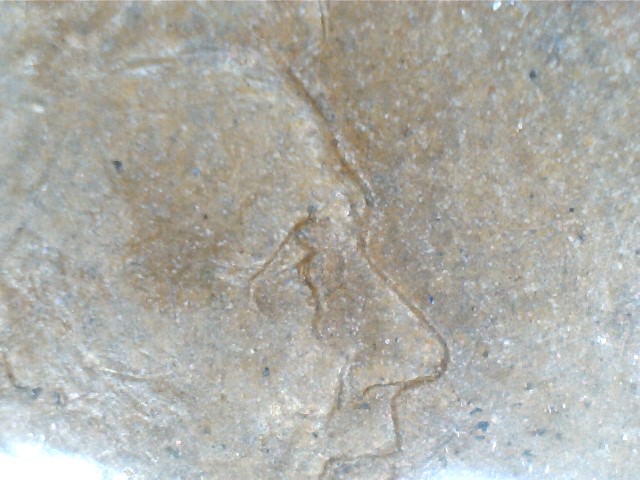 1910-LWC-Tripled-Eyelid?