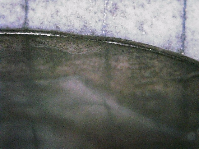 1981-D-Half-Dollar-Struck-Through-Grease-Or-Something-Else?