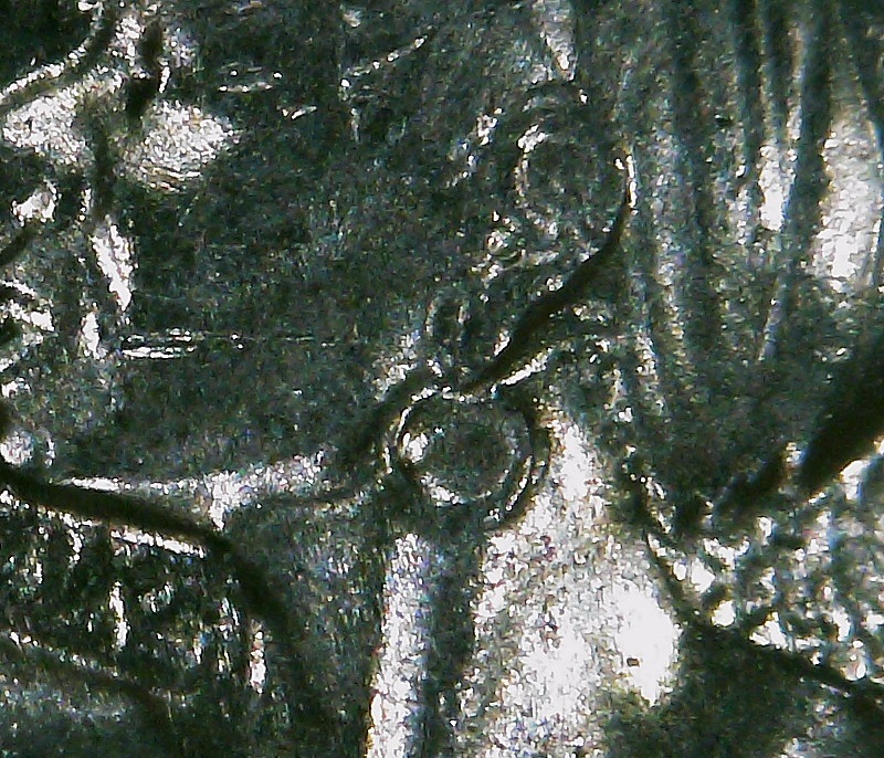 2022-P-Maya-Angelou-Quarter-Unlisted-DDR