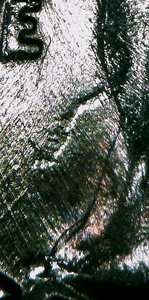 1976-D-Quarter-Struck-Through-Thread/Fiber?