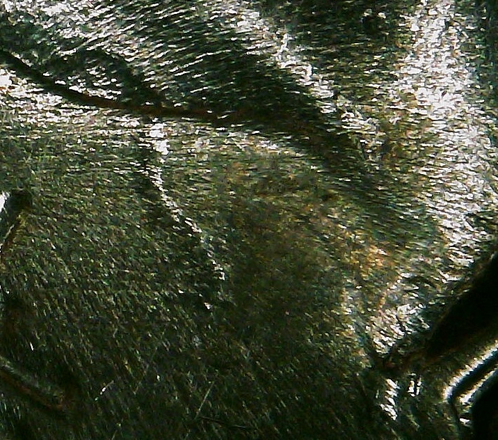 1976-D-Quarter-Struck-Through-Thread/Fiber?