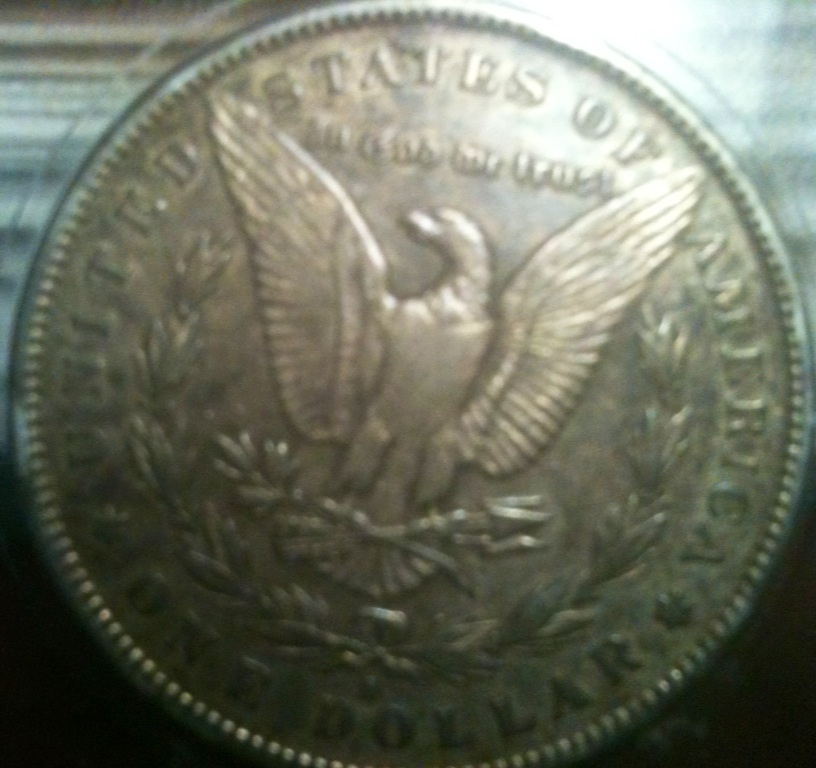More-Cull-Bin-Morgans