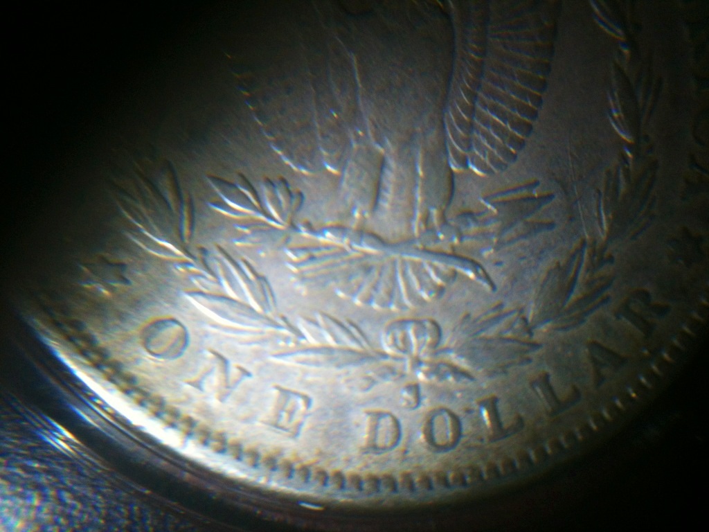 More-Cull-Bin-Morgans