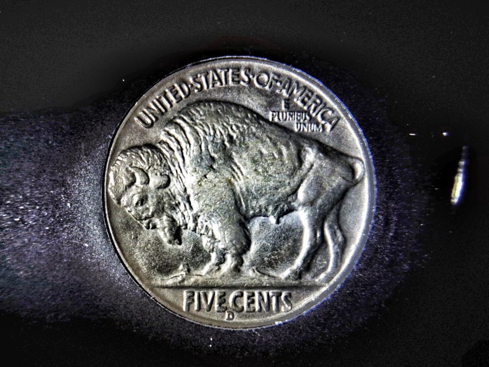 1937-D-Buffalo-Nickel,-What-Do-You-Think-It-Would-Grade.