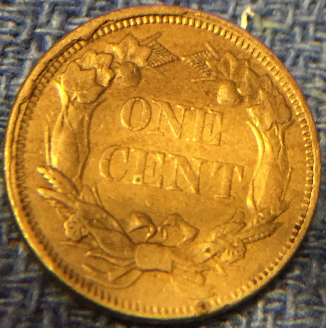 1858-Flying-Eagle-Cent-For-Grading-And-Rim-Error-ID
