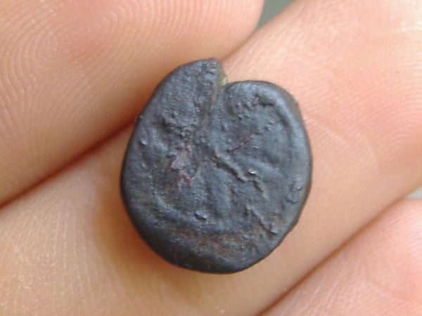 First-Identification