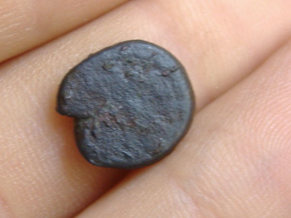 First-Identification