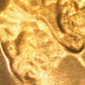 1971-S-Proof-Penny-DDO,-Better-Pics-At-The-Bottom