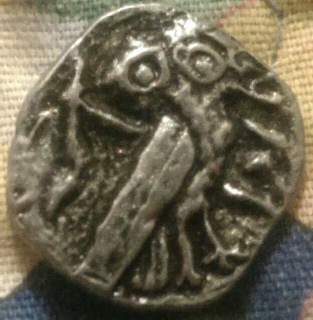 Is-This-Real-Or-Fake?