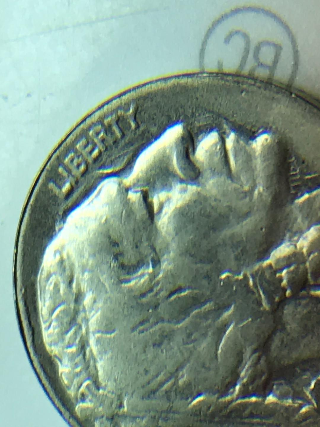 1919-Buffalo-Nickel-Error?