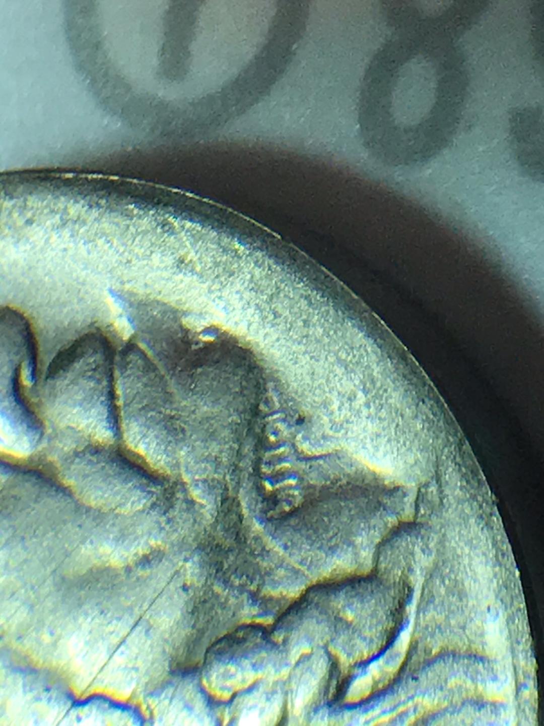 1919-Buffalo-Nickel-Error?