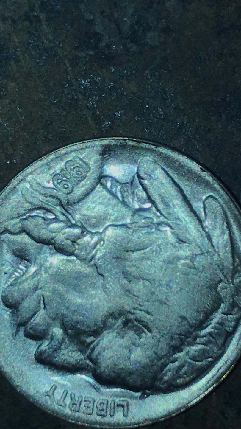1919-Buffalo-Nickel-Error?
