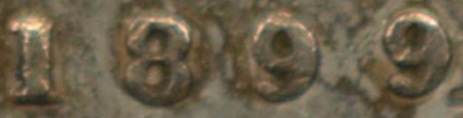 1899-5-Cents-.-Grade-And-Opinions?