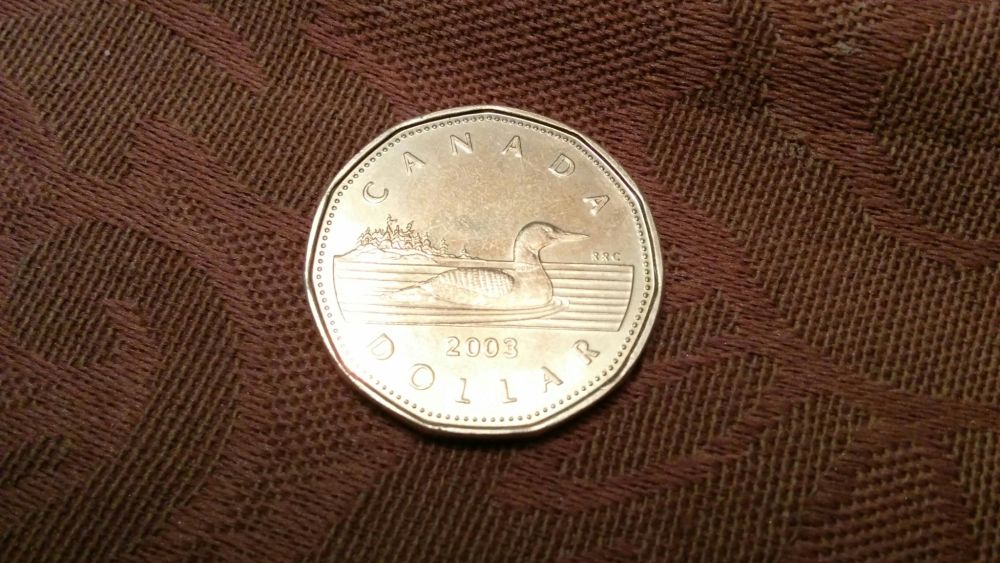 2003-$1-Dollar-Coin:-Mintage:-5-100-000