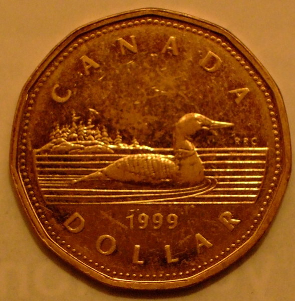 Found-A-1999-Loonie-NIFC-At-Work-In-A-Roll