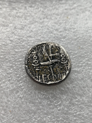 Coin-Authenticity-Verification.-Thank-You-In-Advance