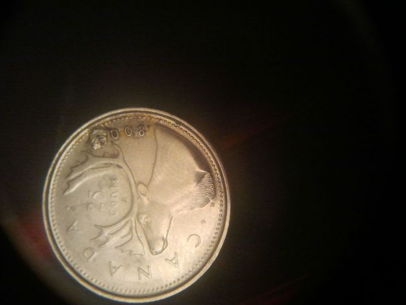 Any-Idea-What-This-Could-Be?