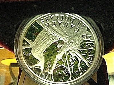 What-About-The-1-Oz....maple-Canopy-Coin