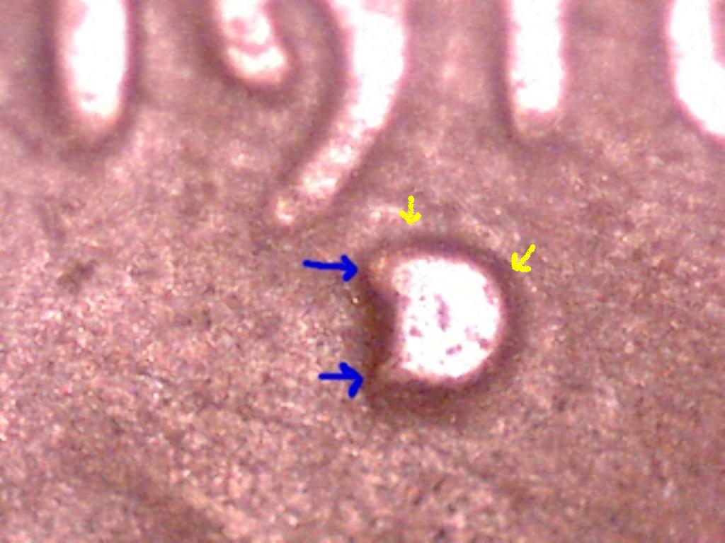 1916-D/D/D-Lincoln-Wheat-Cent,-Interesting-RPM-Variety